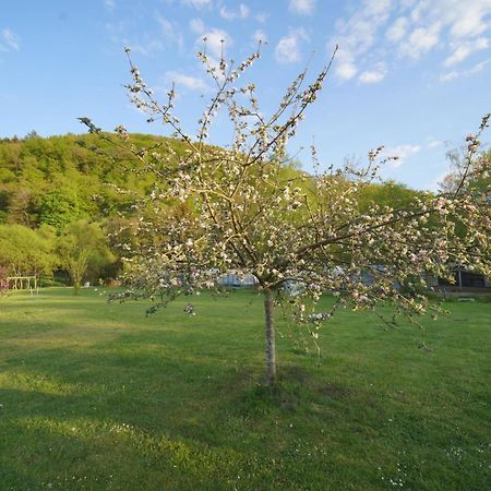 Safaritent Op Camping Berkel Bockholtz 外观 照片