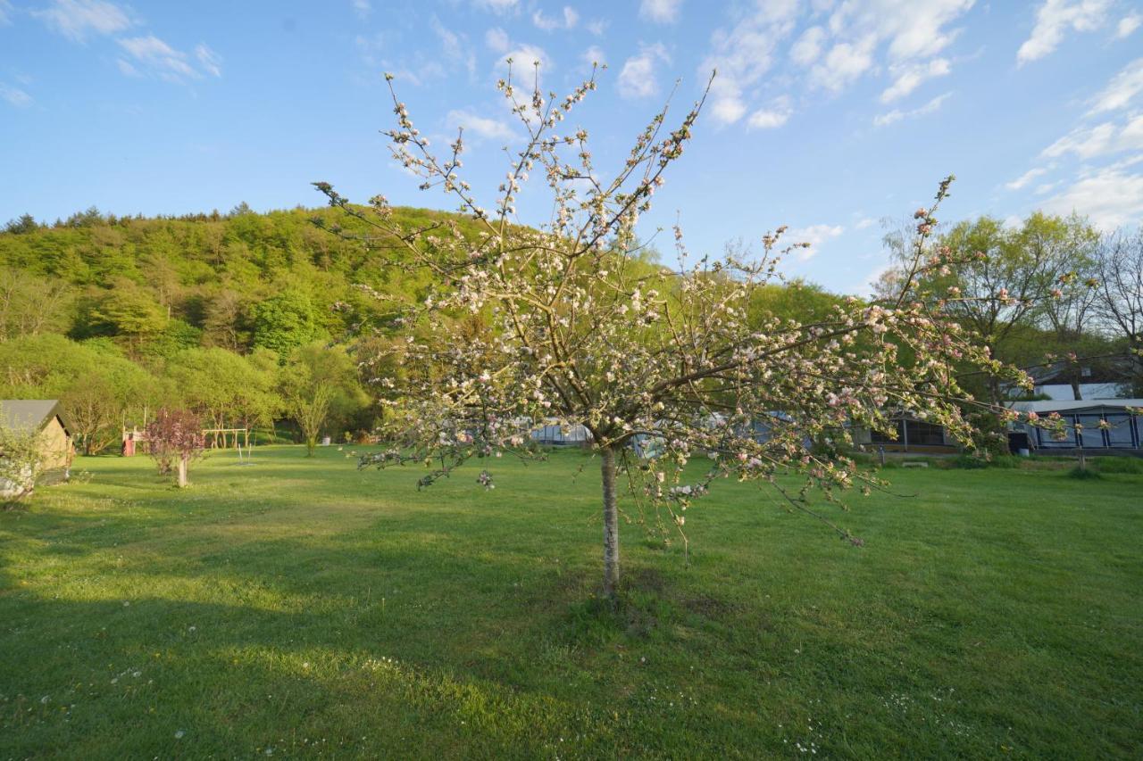 Safaritent Op Camping Berkel Bockholtz 外观 照片